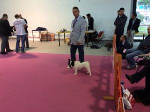 IMG_4814